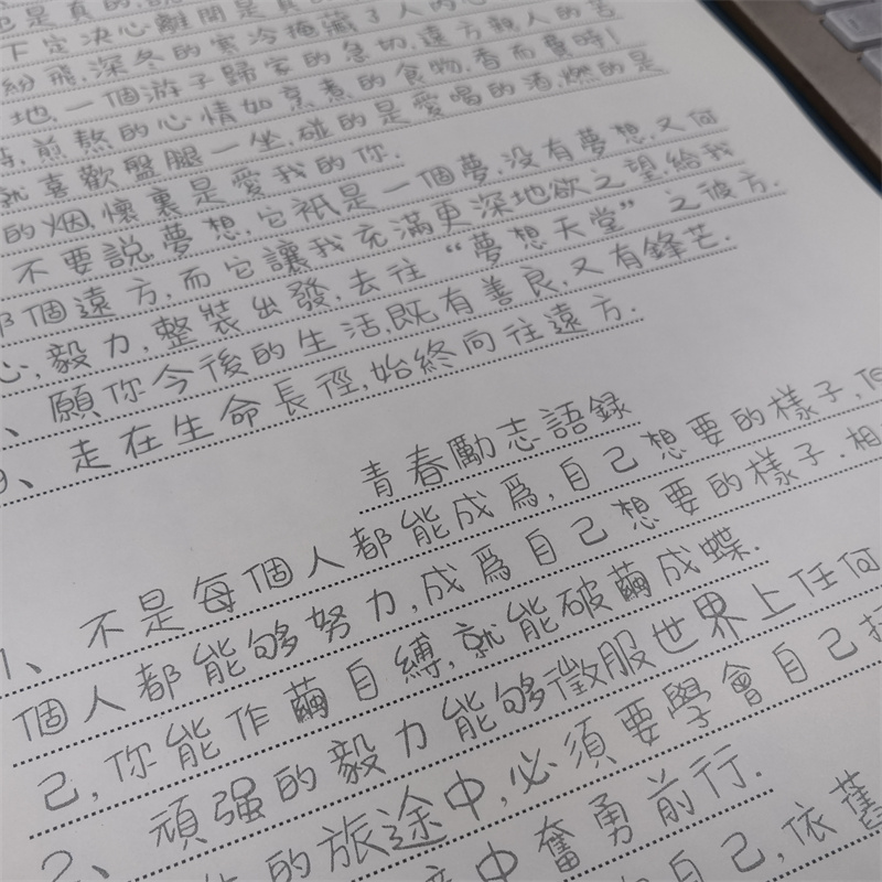 Cuaderno de caracteres chinos  - Fountain Pen Ink reseña y precio